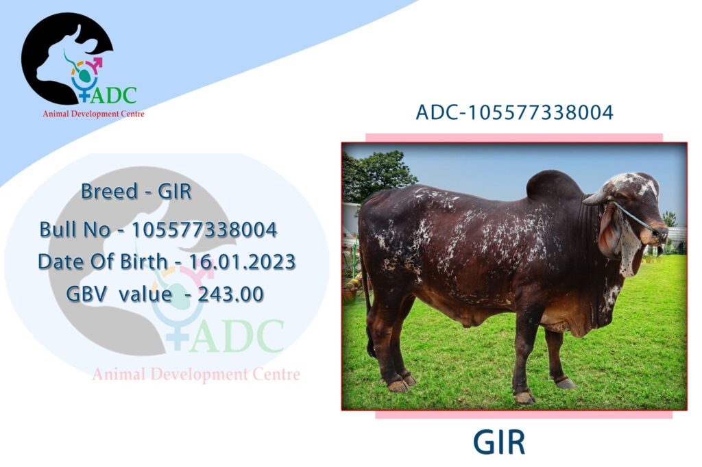 gir 16 01 23