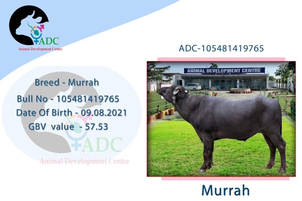 whatsapp image 2026 04 16 at 3.46.30 pm (1)