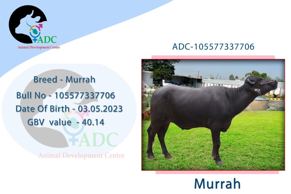 whatsapp image 2026 04 16 at 3.46.30 pm
